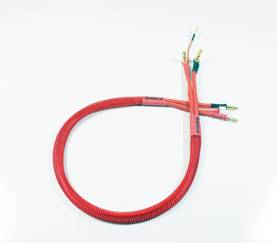 Assault RC 24" 2s Power Leads with 4/5mm Stepped Bullets Assault RC 24" 2s Power Leads with 4/5mm Stepped Bullets