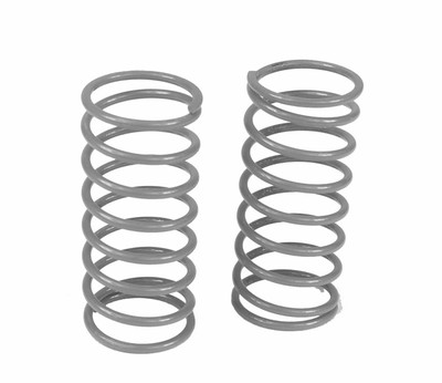 Custom Works Big Bore Springs (9lb.) (CSW1829) Custom Works Big Bore Springs (9lb.) (CSW1829)