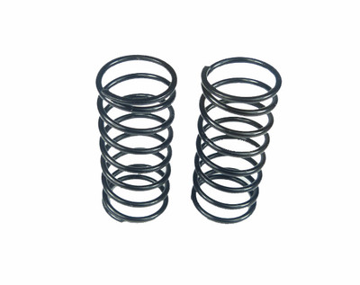 Custom Works Big Bore Springs (10lb.) (CSW1830)