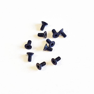 SWORKz FH/ST HEX Screw M2x4.6mm (10) SWORKz FH/ST HEX Screw M2x4.6mm (10)