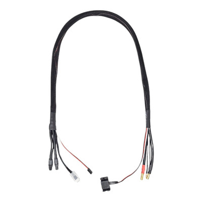 RC Discharger 2S 50A Synchronous Charge Cable by RC Discharger (XT60 & 5mm) with Temperature Sensor