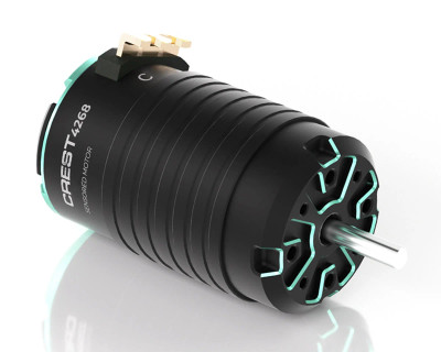 RC Electric Motors for Racing and Bashing