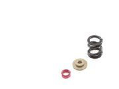 Team Losi Racing HD Slipper Spring Set (all 22) Team Losi Racing HD Slipper Spring Set (all 22)
