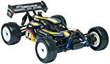 TEAM ASSOCIATED RC10B2 BRUSHLESS RTR