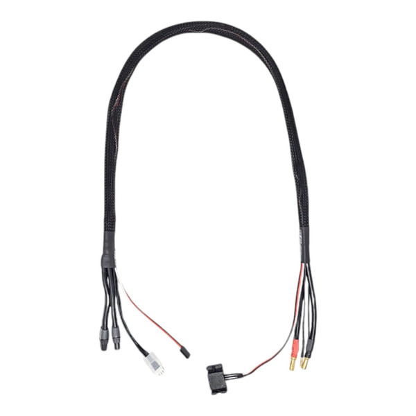 RC Discharger 2S 50A Synchronous Charge Cable by RC Discharger (XT60 & 5mm) with Temperature Sensor