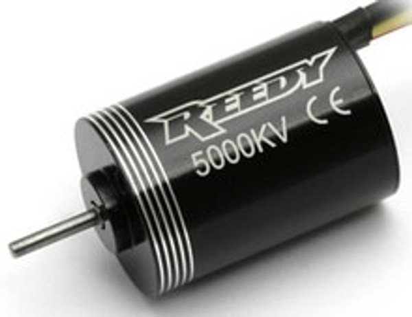 This is the Reedy 5000KV Micro Brushless Motor from Associated.

