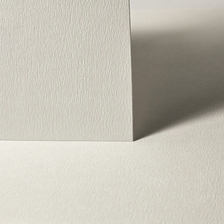 Pressed Ivory White Swatch