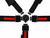 5.2 Cam-Lock Harness (SFI 16.1), Black
