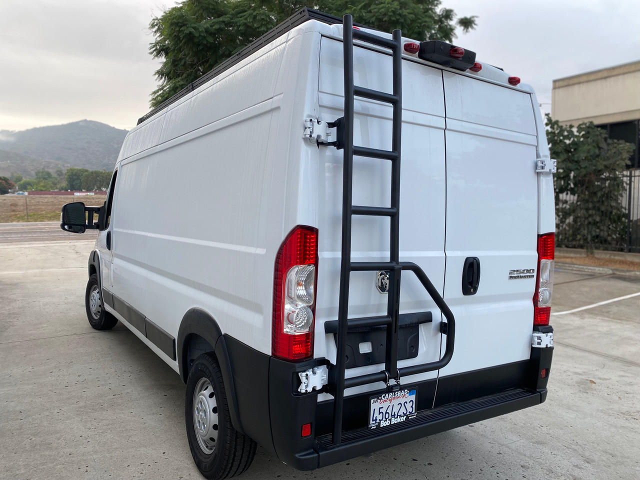 Rear door view of an white Dodge RAM Promaster featuring Aluminess Rear Door Ladder.