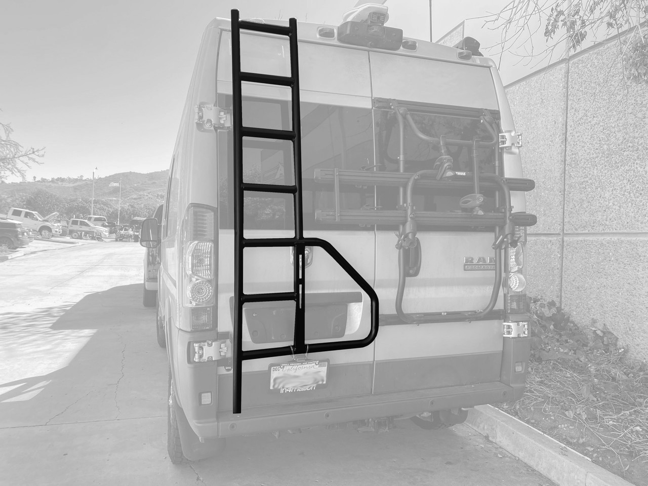 Rear door view of an silver Dodge RAM Promaster highlighting Aluminess Rear Door Ladder.