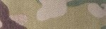 MULTICAM image