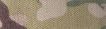 MULTICAM image