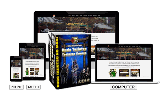 Budo Taijutsu Course binder and online training