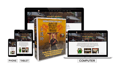 Shidoshi Teacher Training Course binders and online training