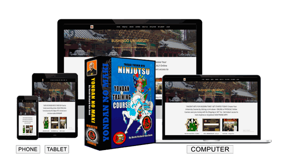 Yondan Takagi Yoshin Ryu Course binder and online training