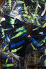 52pc MENS ADIDAS Swim Briefs BLACK GREEN BLUE #22555M (X-3-4)