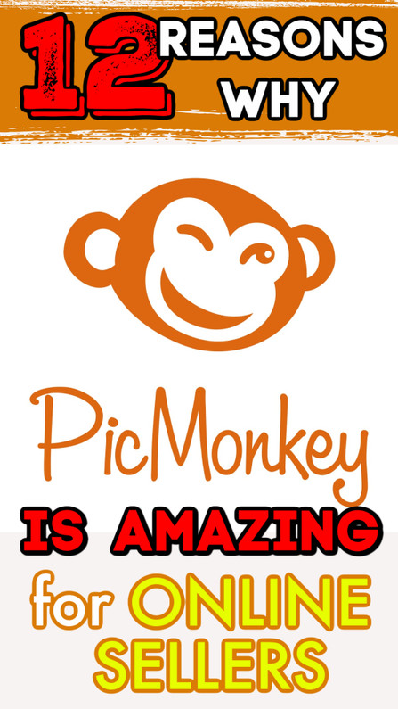 Online Sellers: 12 Reasons Why PicMonkey is the BEST Photo Editing Program