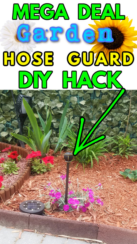 CHEAPEST EVER Hose Guide Guards to Protect Your Garden Plants 
