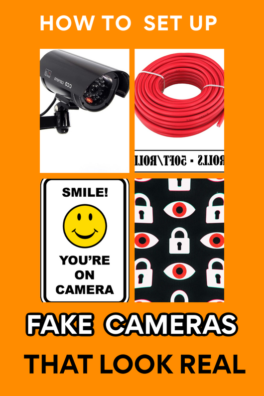 Protect Your Inventory! How to Set Up a Fake Camera System THAT ACTUALLY LOOKS REAL