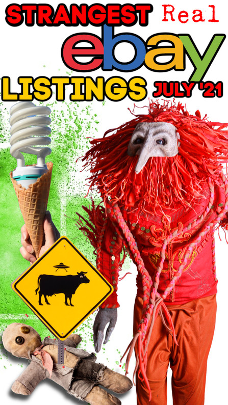 10 of the Strangest eBay Listings - July 2021 Edition  