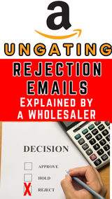 Amazon Ungating: Not Able to Verify Supplier Email (Explained!)