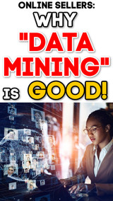 Online Sellers: What Politicians Don’t Understand About “Data Mining” and Why It’s IMPORTANT TO YOUR BUSINESS!