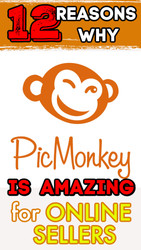 Online Sellers: 12 Reasons Why PicMonkey is the BEST Photo Editing Program