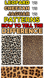 Online Sellers: How to Identify Leopard vs Cheetah vs Jaguar Print Patterns (EASY!)