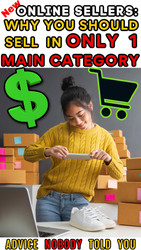 NEW Online Sellers: Why You Should Sell in Only 1 Main Category Niche