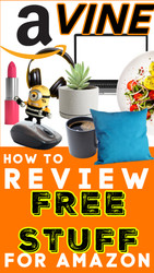 Amazon VINE:  Review 100% Free Stuff - The Program You've Never Heard of!