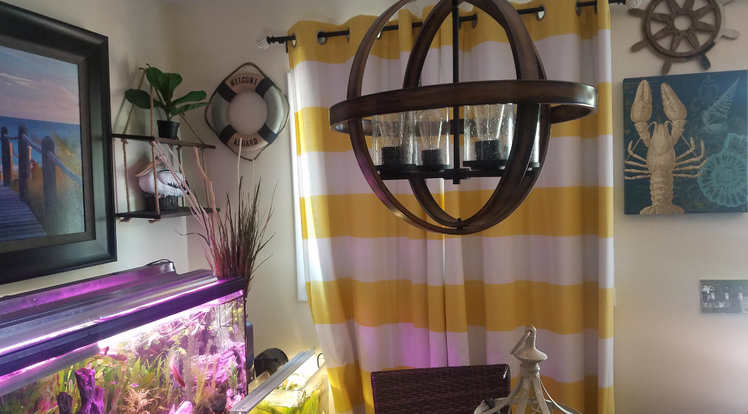 beach-house-3.png beach-house-3.png