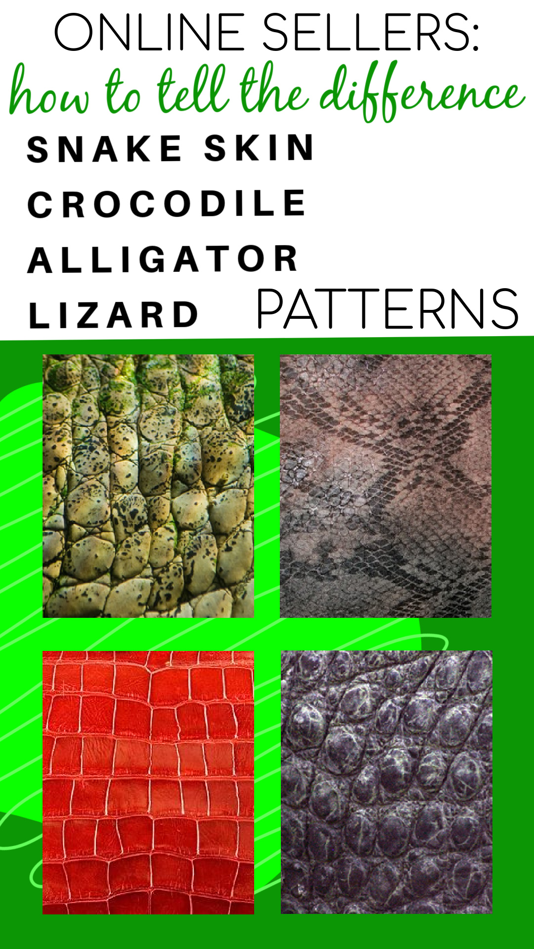 What is the difference between crocodile skin and alligator skin