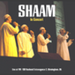SHAAM IN CONCERT image