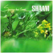 Spring has Come by SHAAM image Spring has Come by SHAAM image