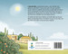 The Barakah Tree : A Tale of Faith, Patience, and Unexpected Blessings - Hardcover image 2