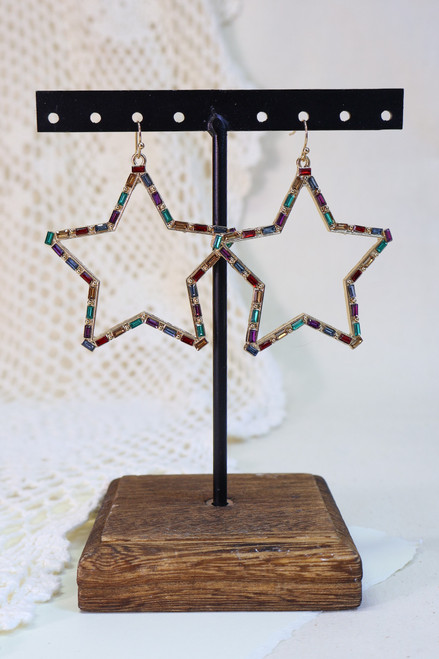 In Technicolor Earrings