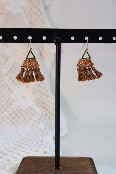 Worth The Tassel Earrings