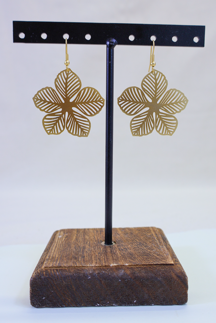 Nothing To Hide Earrings