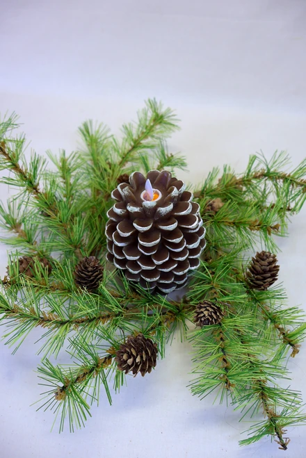 Holiday Pine Candle Ring - 4.5"