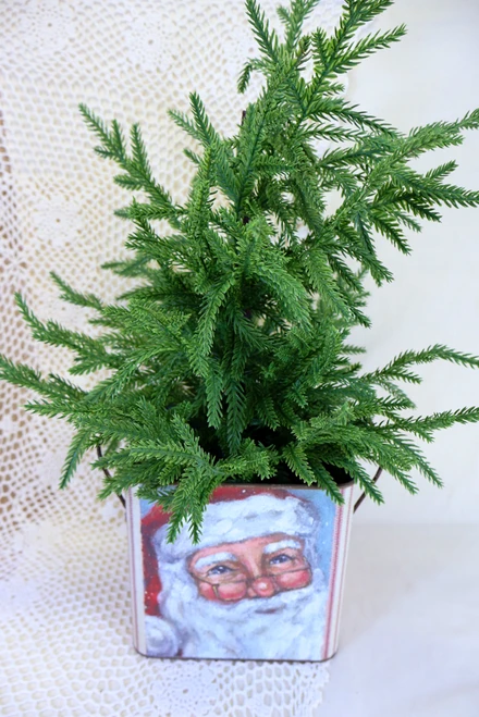 Small - Santa Bin