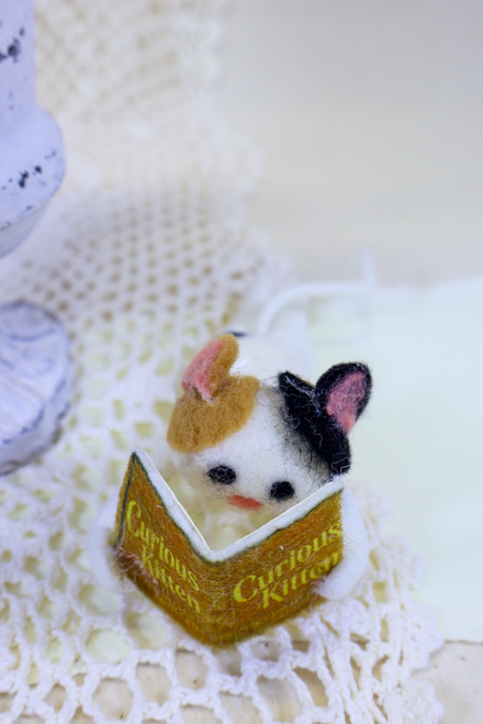 Curious Kitten - Critter Reading Cat