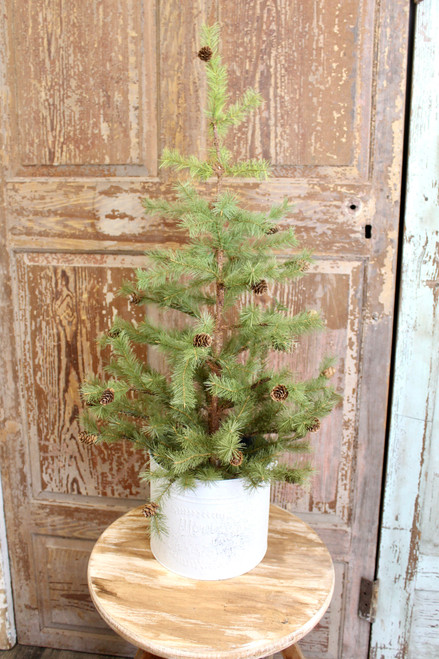 36" Greenup Pine Tree With Cones