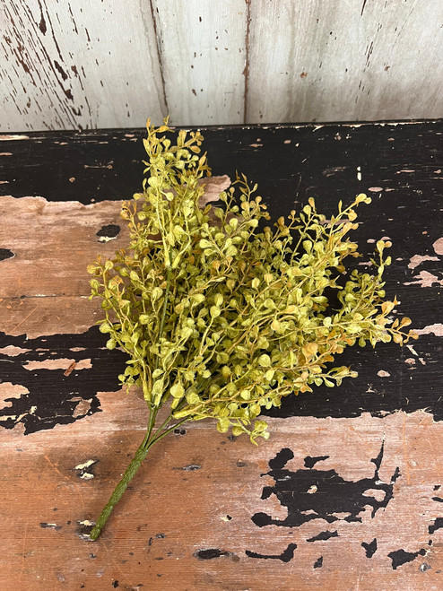 14" Baby's Grass Bush - Large