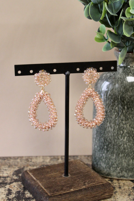 Sparkle And Shine Earrings