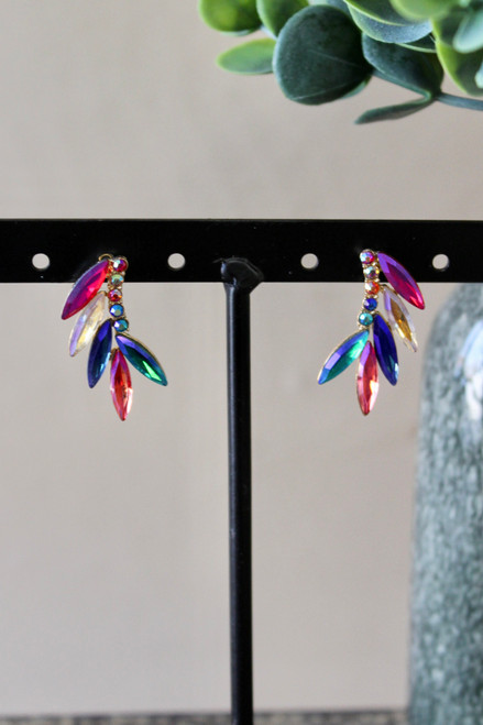 It's A Toss Up Earrings - Multi