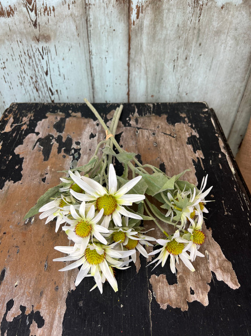 16" Bundle Of Sun Daisies - White