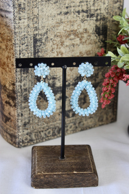 Sparkle And Shine Earrings - Blue