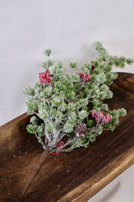 Japanese Pine Red And Berry Bush