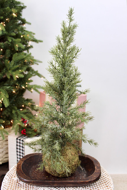 Pine Tree With Moss Ball Base