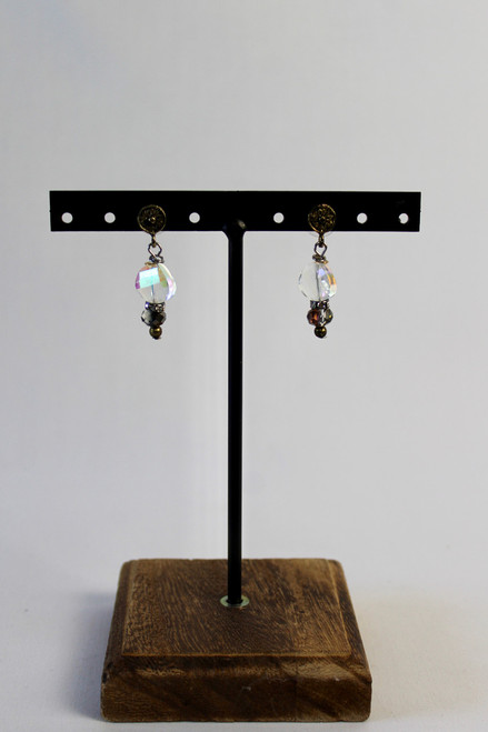 Brighter Than Ever Earrings